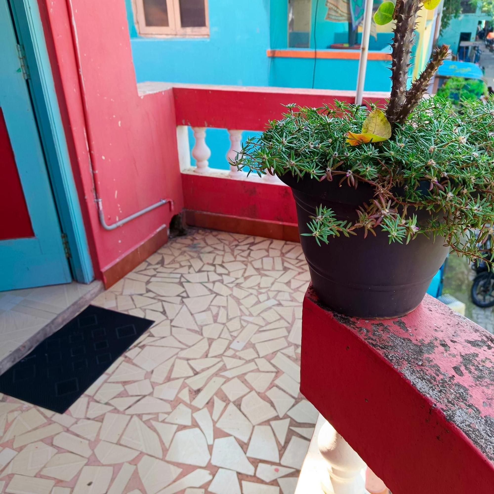 Blue Waves Homestay 蓬蒂切里 外观 照片
