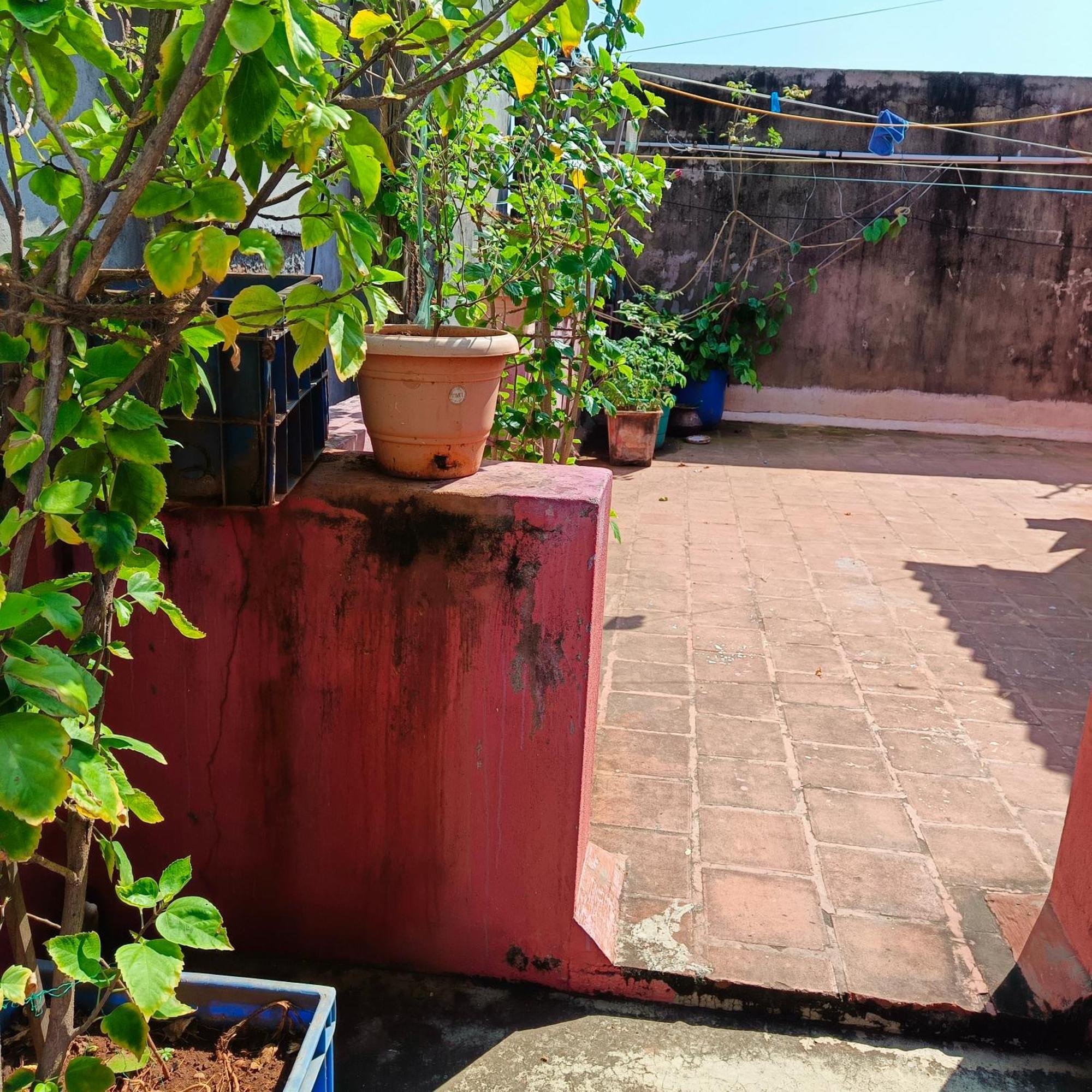Blue Waves Homestay 蓬蒂切里 外观 照片